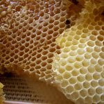 Miel - lutter contre la fatigue